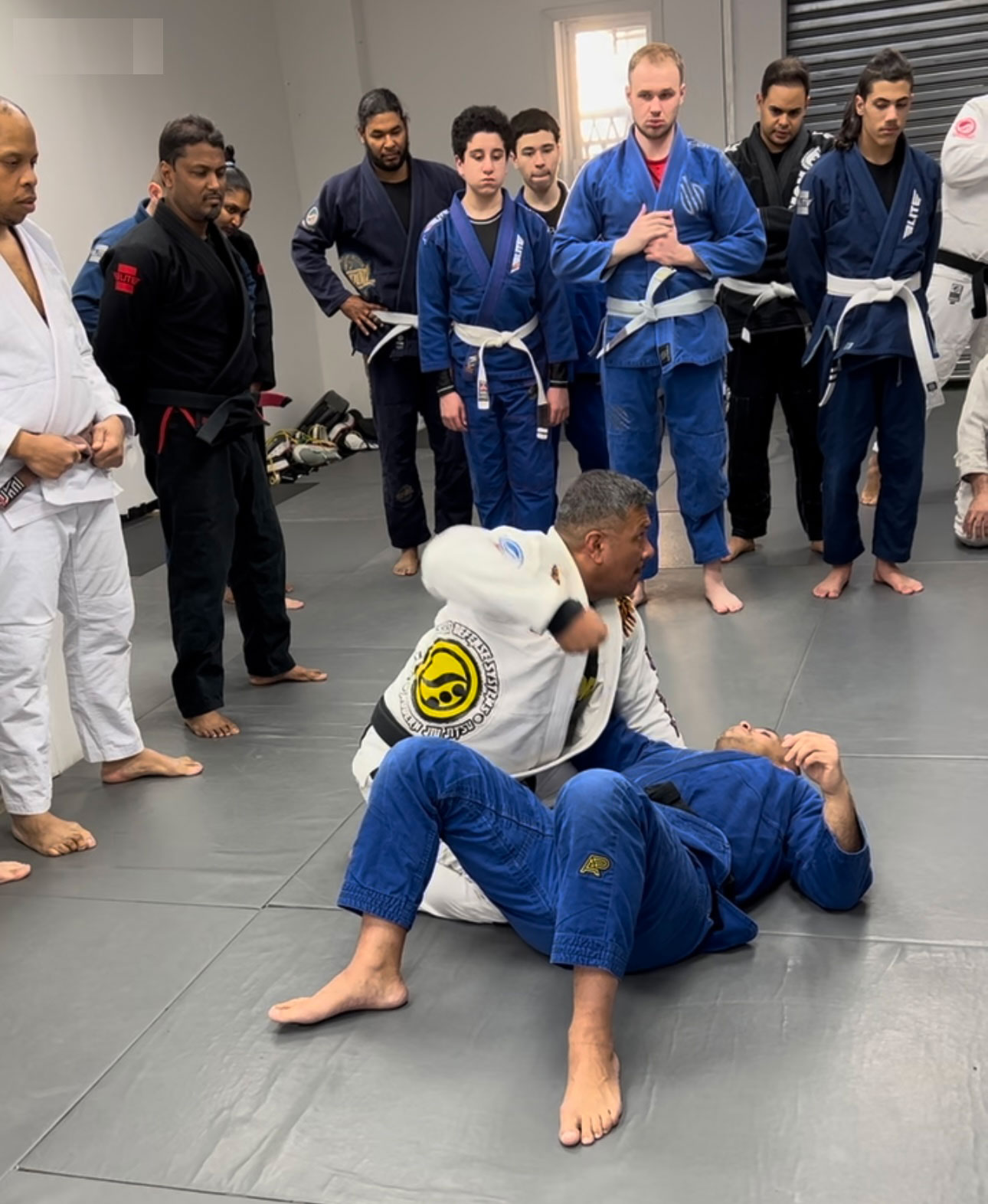 5 Boro Fighthaus Brazilian Jiu-Jitsu Gi